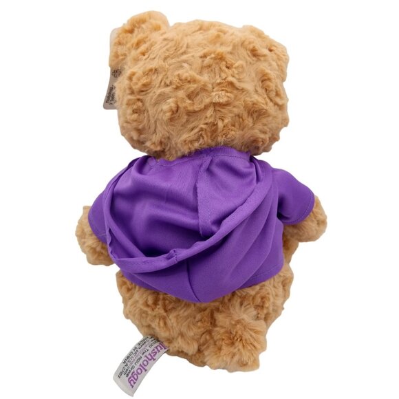 Hooded Teddy Bear Plushology Duke's Mount Vernon Texas Stuffed Animal 12" Plush - Picture 9 of 16